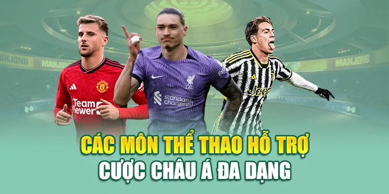 Khám Phá Kèo Châu Á Tại Nhà Cái 79King – Chuẩn Từng Con Số 3 Các môn thể thao hỗ trợ cược châu Á đa dạng