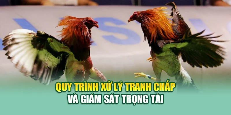 Luật Đá Gà Chi Tiết Và Chính Xác Nhất Tại Nhà Cái 79King 2 Quy trình xử lý tranh chấp và giám sát trọng tài
