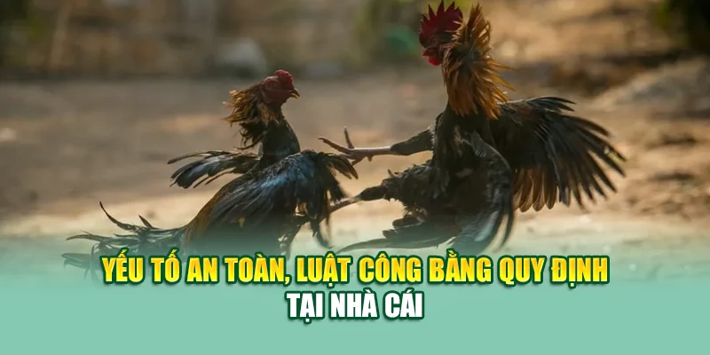 Yếu tố an toàn, luật công bằng quy định tại nhà cái